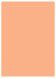 Ginger Flat Card 5 1/8 x 7 1/8 - 25/Pk