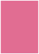 Peony Flat Card 5 1/8 x 7 1/8 - 25/Pk