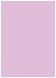 Purple Lace Flat Card 5 1/8 x 7 1/8 - 25/Pk