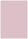 Lily Flat Card 5 1/8 x 7 1/8 - 25/Pk
