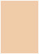 Latte Flat Card 5 1/8 x 7 1/8 - 25/Pk