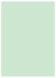 Green Tea Flat Card 5 1/8 x 7 1/8 - 25/Pk