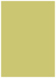 Tropical Green Flat Card 5 1/8 x 7 1/8 - 25/Pk
