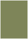 Cactus Flat Card 5 1/8 x 7 1/8 - 25/Pk