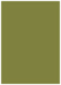 Olive Flat Card 5 1/8 x 7 1/8 - 25/Pk