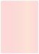 Rose Flat Card 5 1/8 x 7 1/8 - 25/Pk