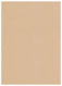Desert Storm Flat Card 5 1/4 x 7 1/4 - 25/Pk