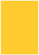 Soleil Flat Card 5 1/4 x 7 1/4 - 25/Pk
