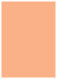 Ginger Flat Card 5 1/4 x 7 1/4 - 25/Pk