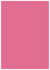 Peony Flat Card 5 1/4 x 7 1/4 - 25/Pk