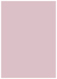 Lily Flat Card 5 1/4 x 7 1/4 - 25/Pk