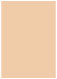 Latte Flat Card 5 1/4 x 7 1/4 - 25/Pk