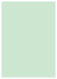 Green Tea Flat Card 5 1/4 x 7 1/4 - 25/Pk
