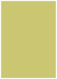 Tropical Green Flat Card 5 1/4 x 7 1/4 - 25/Pk