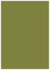 Olive Flat Card 5 1/4 x 7 1/4 - 25/Pk