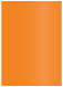 Mandarin Flat Card 5 1/4 x 7 1/4 - 25/Pk