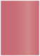 Azalea Flat Card 5 1/4 x 7 1/4 - 25/Pk