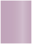 Violet Flat Card 5 1/4 x 7 1/4 - 25/Pk