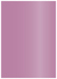 Punch Flat Card 5 1/4 x 7 1/4 - 25/Pk