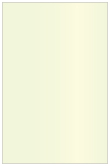 Mint Flat Paper 5 1/4 x 8 1/4 - 50/Pk