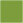 Iguana Square Flat Paper 2 x 2 - 50/Pk