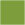 Iguana Square Flat Paper 2 1/4 x 2 1/4 - 50/Pk
