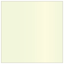 Mint Square Flat Paper 5 3/4 x 5 3/4 - 50/Pk