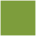 Iguana Square Flat Paper 6 1/2 x 6 1/2 - 50/Pk