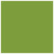 Iguana Square Flat Paper 7 x 7 - 50/Pk