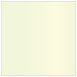 Mint Square Flat Paper 7 x 7 - 50/Pk