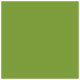 Iguana Square Flat Paper 7 1/4 x 7 1/4 - 50/Pk