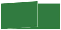 Verde Fold Away Invitation 4 x 9 1/4 - 25/Pk