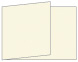 Milkweed Fold Away Invitation 5 x 7 - 25/Pk