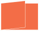 Electric Orange Fold Away Invitation 5 x 7 - 25/Pk