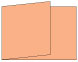 Ginger Fold Away Invitation 5 x 7 - 25/Pk