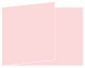 Pink Feather Fold Away Invitation 5 x 7 - 25/Pk