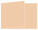 Latte Fold Away Invitation 5 x 7 - 25/Pk