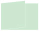Green Tea Fold Away Invitation 5 x 7 - 25/Pk