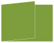 Iguana Fold Away Invitation 5 x 7 - 25/Pk