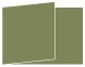 Cactus Fold Away Invitation 5 x 7 - 25/Pk