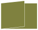 Olive Fold Away Invitation 5 x 7 - 25/Pk