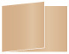 Cappuccino Fold Away Invitation 5 x 7 - 25/Pk