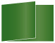 Botanic Fold Away Invitation 5 x 7 - 25/Pk