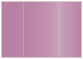 Punch Gate Fold Invitation Style A (5 x 7) - 10/Pk