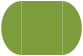Iguana Gate Fold Invitation Style C (5 1/4 x 7 1/4) - 10/Pk