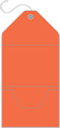 Electric Orange Pocket Invitation Style A10 (5 1/4 x 7 1/4) - 10/Pk