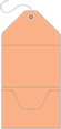 Ginger Pocket Invitation Style A10 (5 1/4 x 7 1/4) - 10/Pk