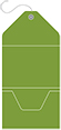 Iguana Pocket Invitation Style A10 (5 1/4 x 7 1/4) - 10/Pk