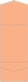 Ginger Pocket Invitation Style A11 (5 1/4 x 7 1/4) - 10/Pk