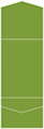 Iguana Pocket Invitation Style A11 (5 1/4 x 7 1/4) - 10/Pk